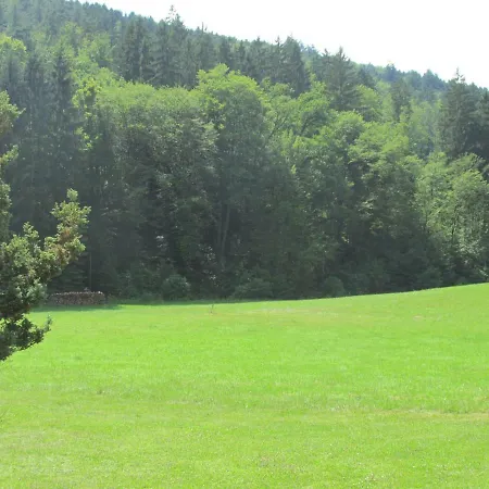 Zwieselmuhle 게스트하우스