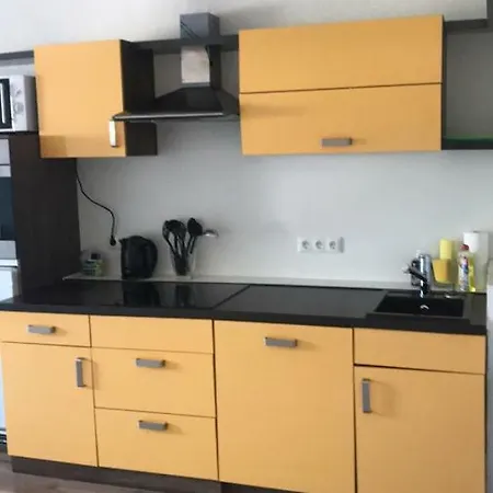 Zwieselmuhle 게스트하우스